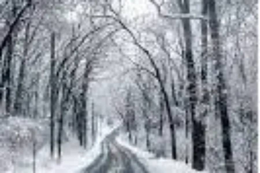 Winter Travel Mistakes To Avoid