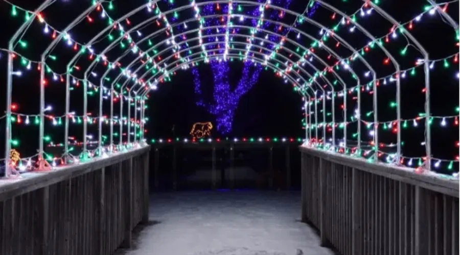 Preparations Underway For Wild Lights At The Zoo
