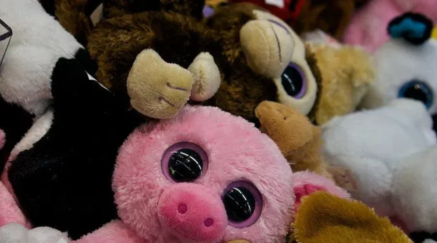 What Kids Need Moncton To Hold Open Houses For Families In Need