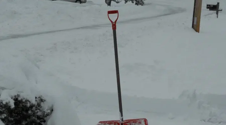 Snow and Wind Forecast For Moncton and Southeast NB