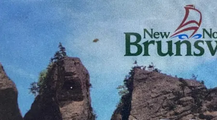 Health Minister Says Medicare Card Processing Backlog Eliminated