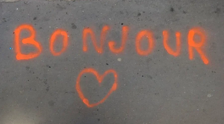 Dump Proposed Program Says French Immersion Advocacy Group