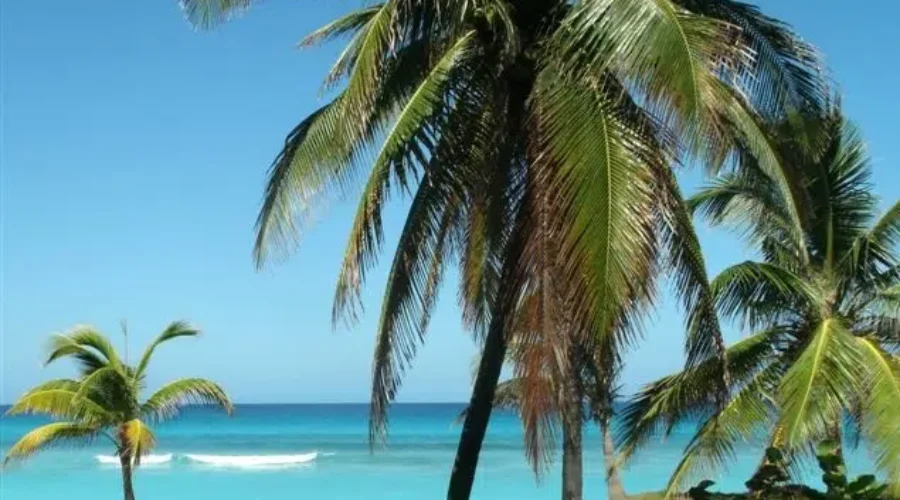 Sunshine Flights Returning To YQM