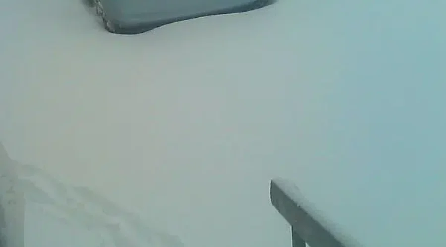 Heavy, wet snow blankets parts of N.B.