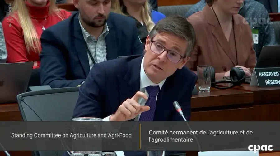 ‘We are not profiting from inflation’ grocery execs tell committee