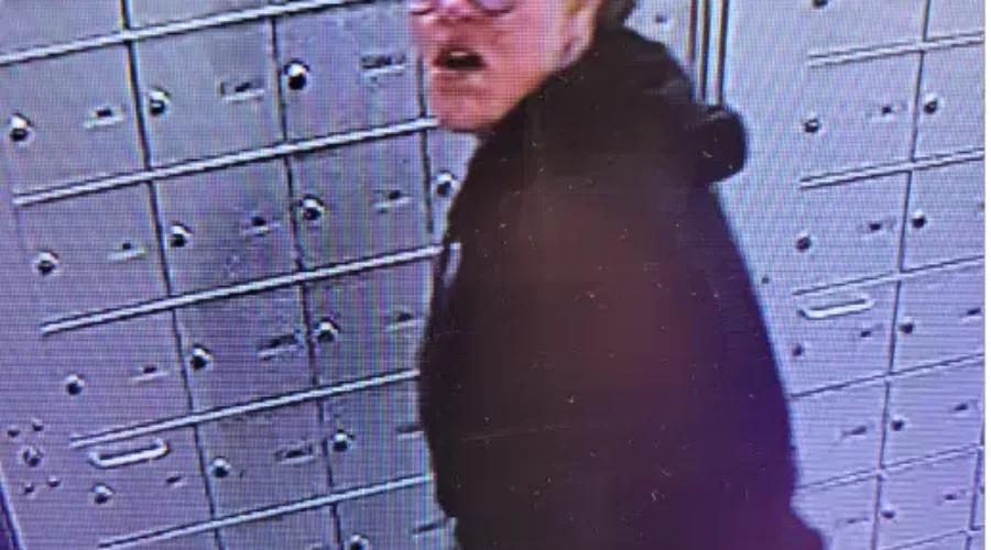 RCMP looking for person of interest after mail theft