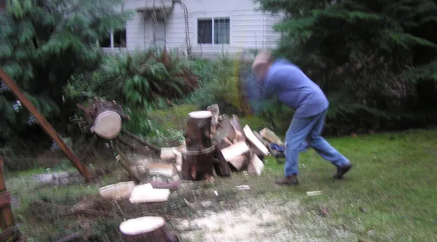 Dieppe’s proposed tree by-law a first for Atlantic Canada