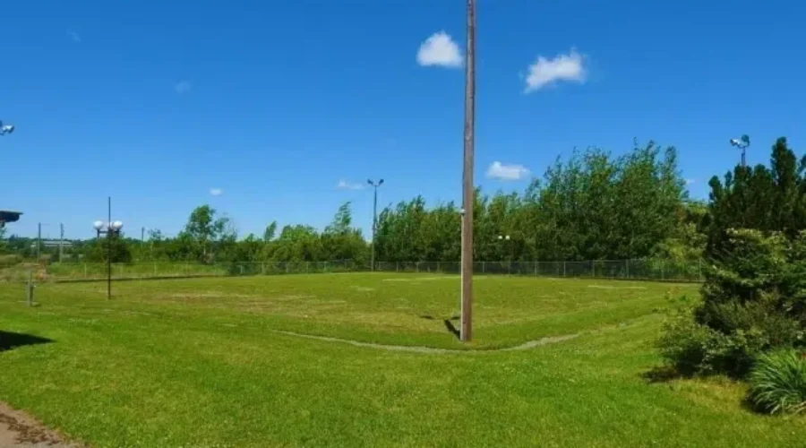 Riverview Pickleball Club seeks play facility