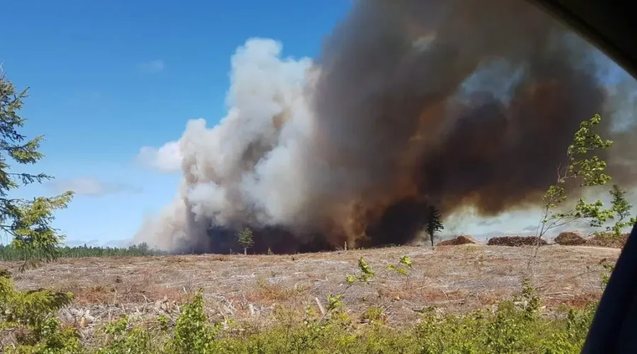 Be careful if planning to burn brush this spring