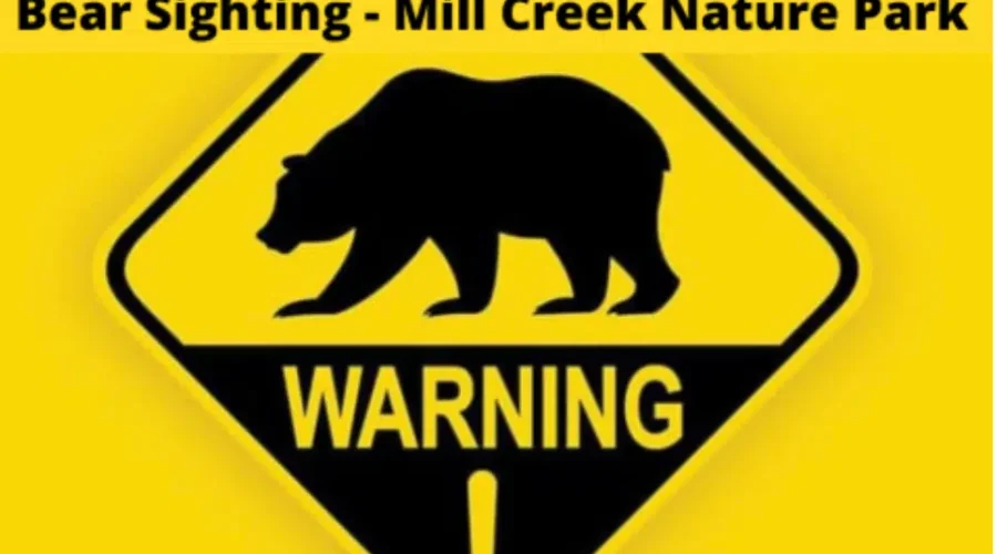 Bear sighting in Riverview Park