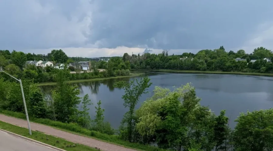 High counts of E. coli bacteria in Jones Lake and Centennial Park Lake