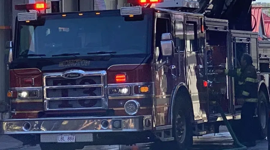 Three pets perish in Elmwood Drive house fire