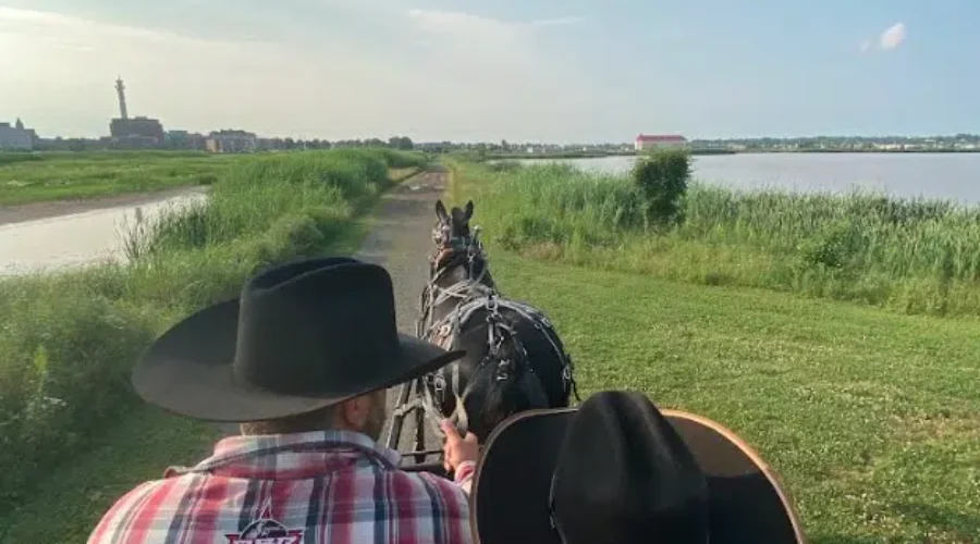 Summer brings horse and carriage rides on Riverfront Trail in Riverview