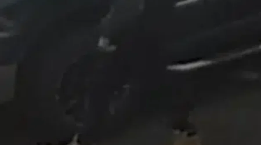 RCMP warns about online buy and sell scam