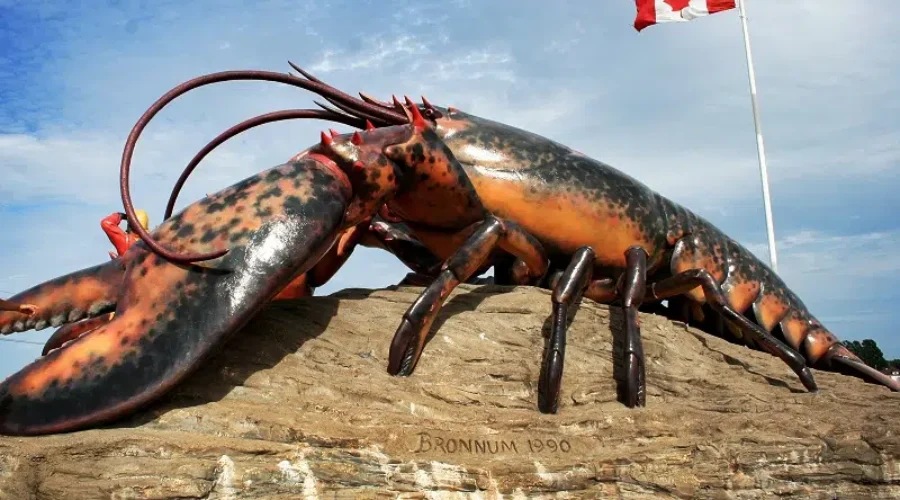 Building boom continues in Shediac