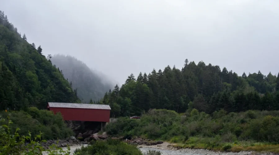 Fundy National Park wants you to have a say in the future of the park