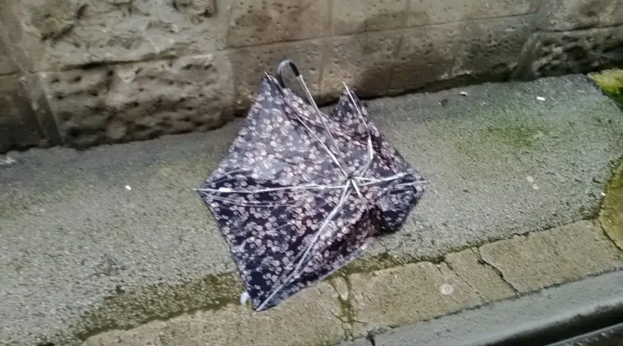 Lee didn’t pack a punch in Greater Moncton