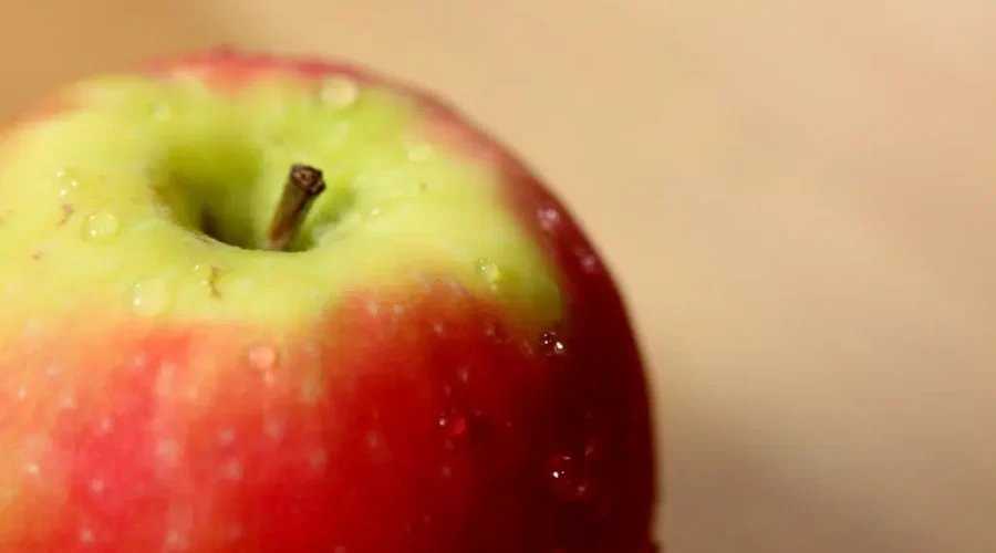 Program expansion makes healthy foods available at more N.B. schools