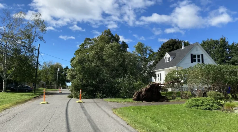 Charlotte County cleans up from post-tropical storm Lee