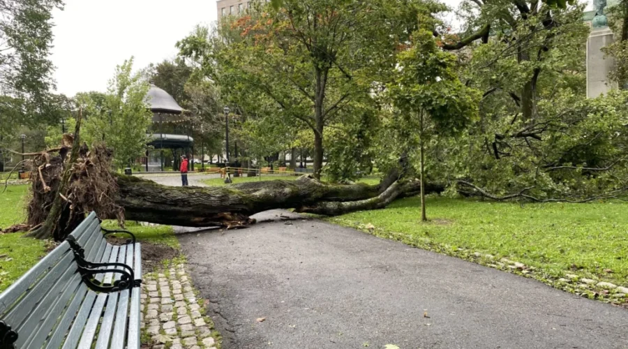 8:45 p.m. – Centre of Lee near Saint John