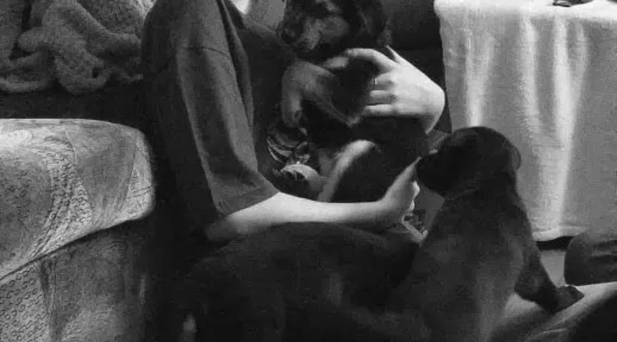 It’s Rebecca Schofield Day!