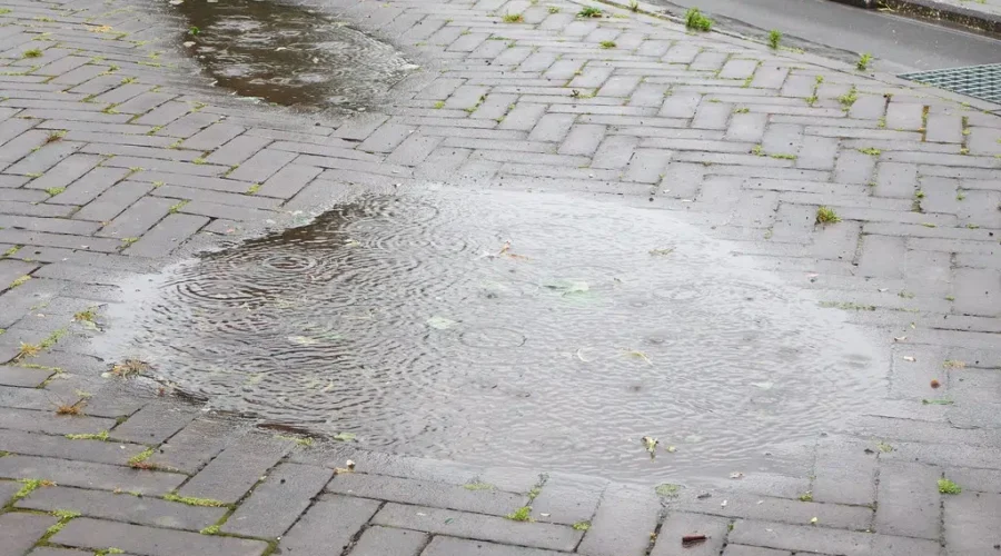 Wind and rain for Thanksgiving weekend in N.B.