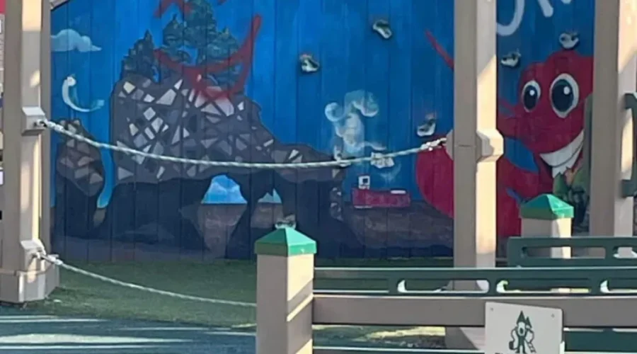 Man arrested in connection with Riverview Park vandalism