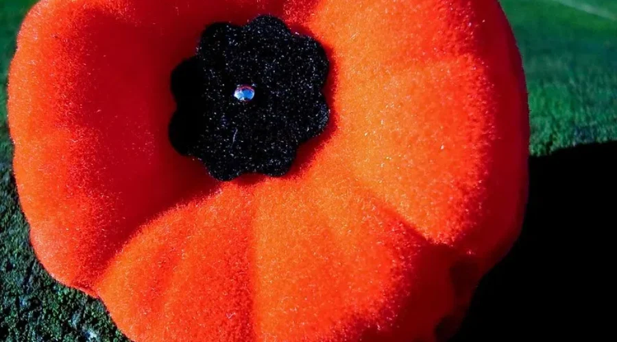Survey finds more Remembrance Day education needed for youth