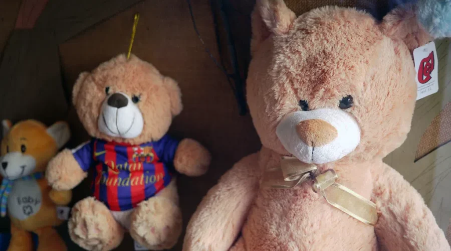 Bigger demand expected for Moncton Headstart’s 2023 Toyland