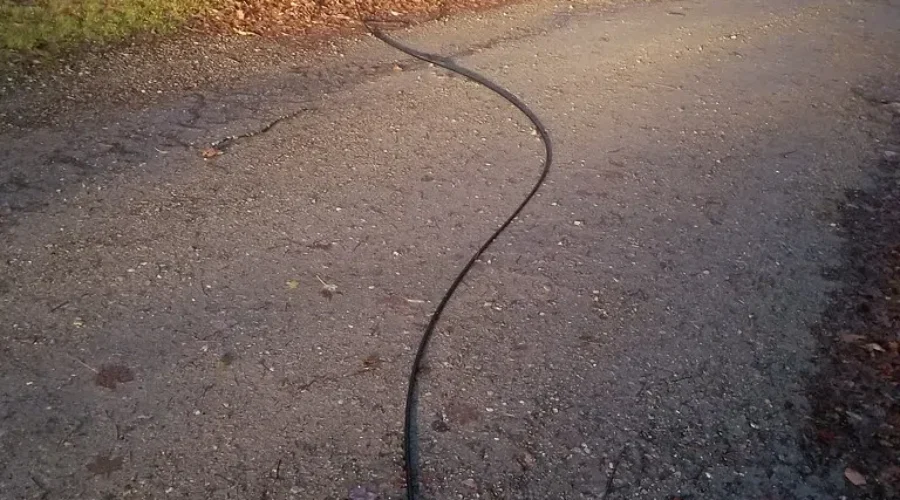 5 PM: NB Power crews continue restoration efforts