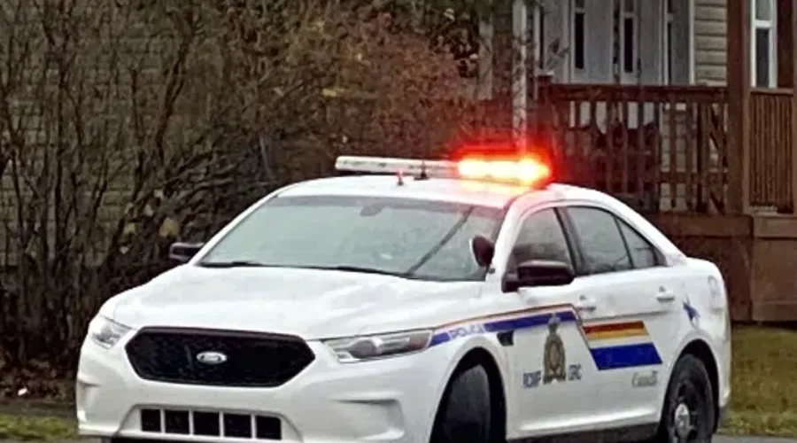 RCMP seize illegal firearms during traffic stop in Basswood Ridge