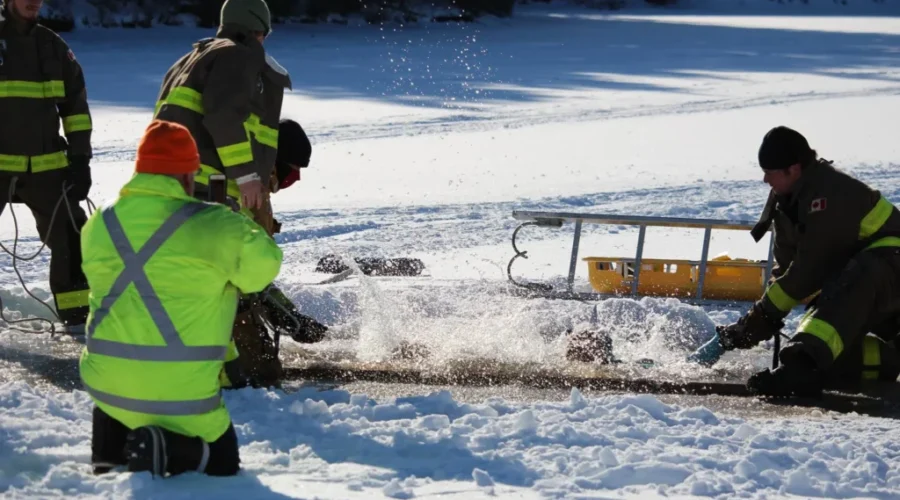 Take a polar dip in Dorchester for New Year’s Day
