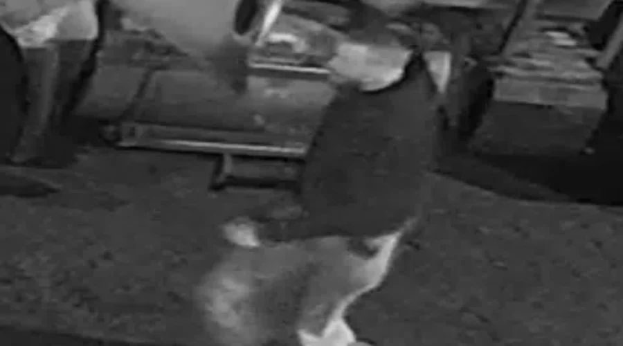 RCMP seek public’s help after Moncton break-in