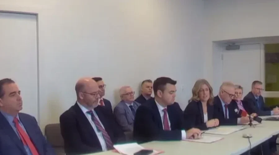 Liberals make recommendations on priority issues