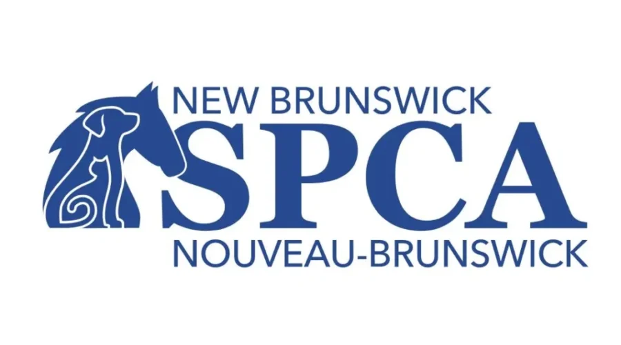 Charges laid after deaths of two horses in N.B.