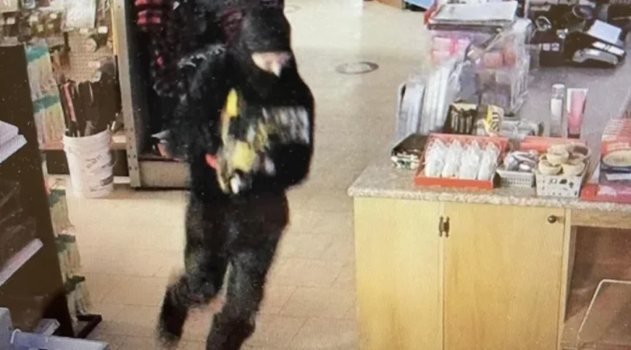 ATMs stolen during Hillsborough break-ins