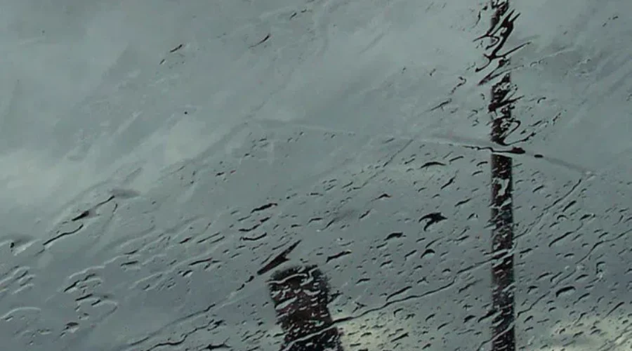 Heavy rain, high winds for southeastern N.B.