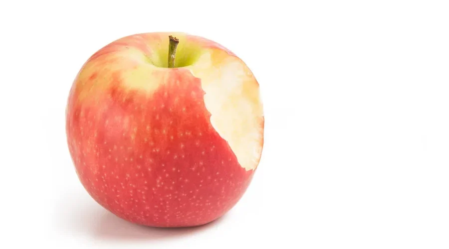 Anglophone East schools taking ‘The Great Big Crunch’