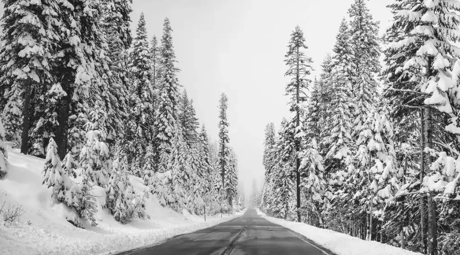 We haven’t seen the last of winter yet…