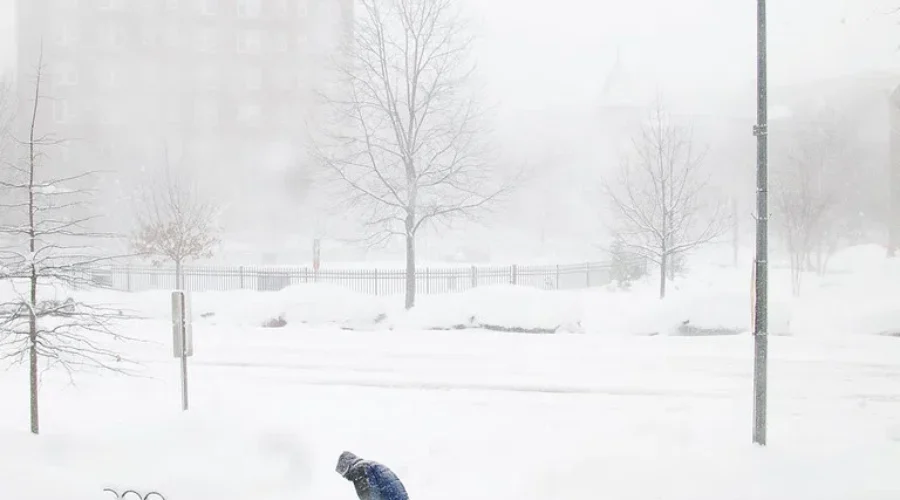 Winter storm warnings issued for parts of N.B.