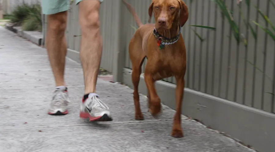Citizens on Patrol, all about neighbours helping neighbours