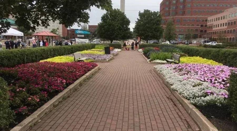 Input needed for downtown Moncton strategic plan