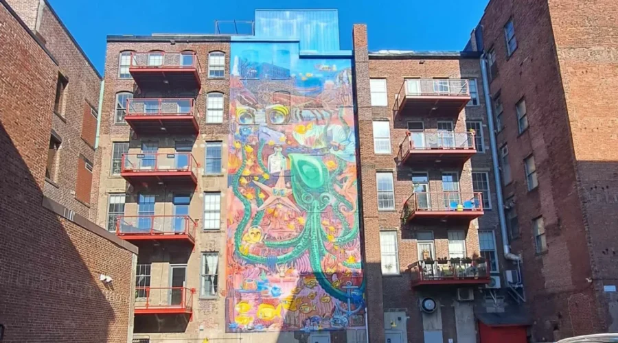 Financial grants for growing N.B. arts sector