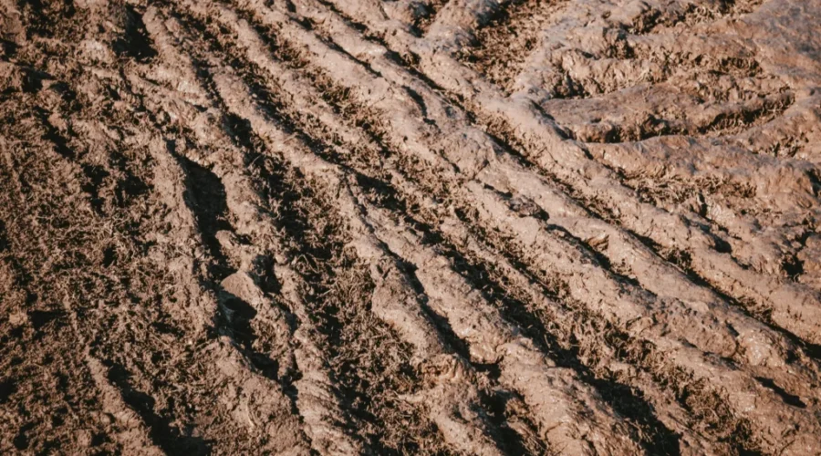 New program to help farmers enhance land resiliency