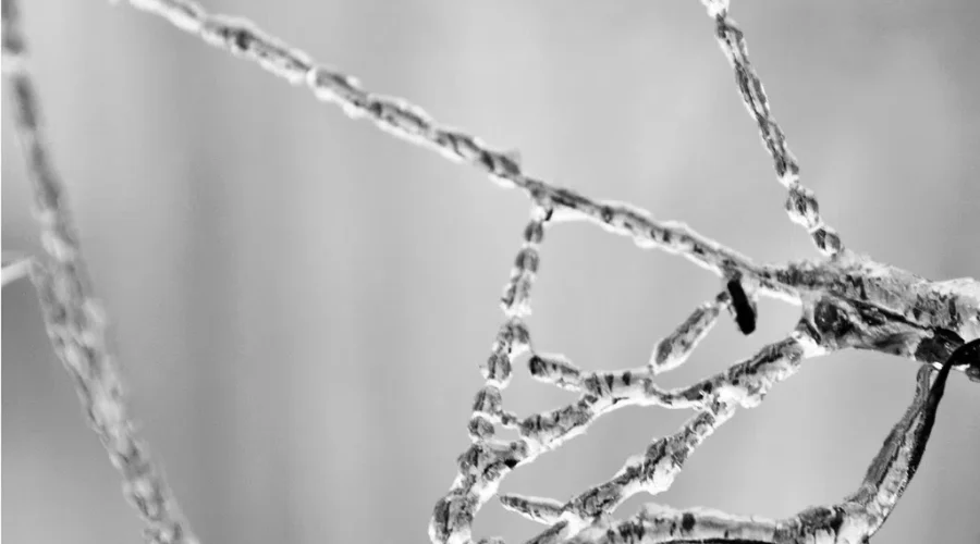 Rain, ice and snow in forecast for Moncton and southeast N.B.