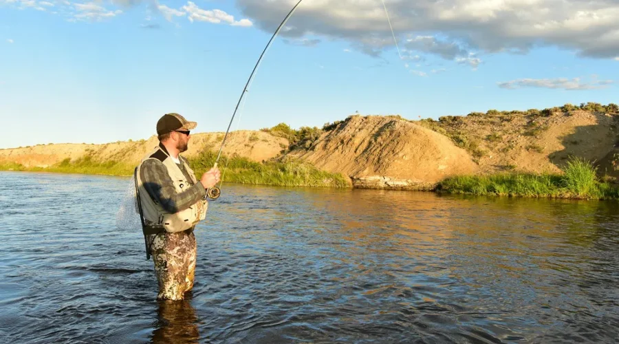 Over $300K in grants for N.B. Atlantic salmon projects