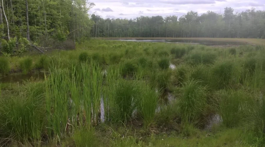 Optimism with project keeping road salt out of waterways