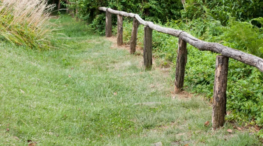 Input needed in Dieppe for future parks and green spaces