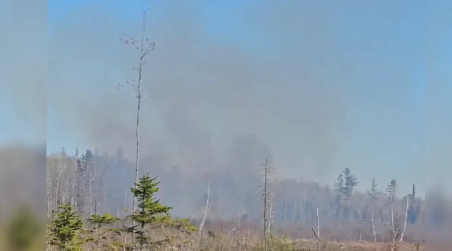 Firefighters battle large brush fire in Moncton
