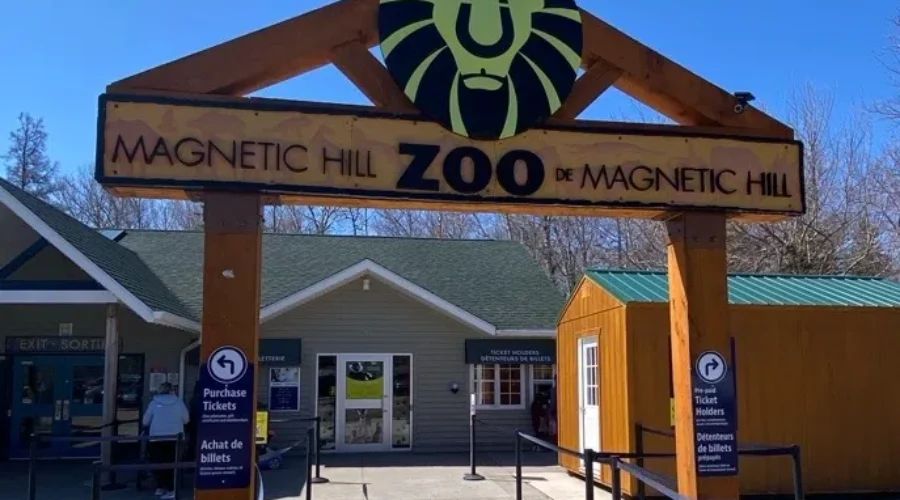 New baby lemur at Magnetic Hill Zoo